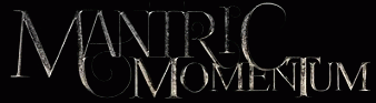 logo Mantric Momentum